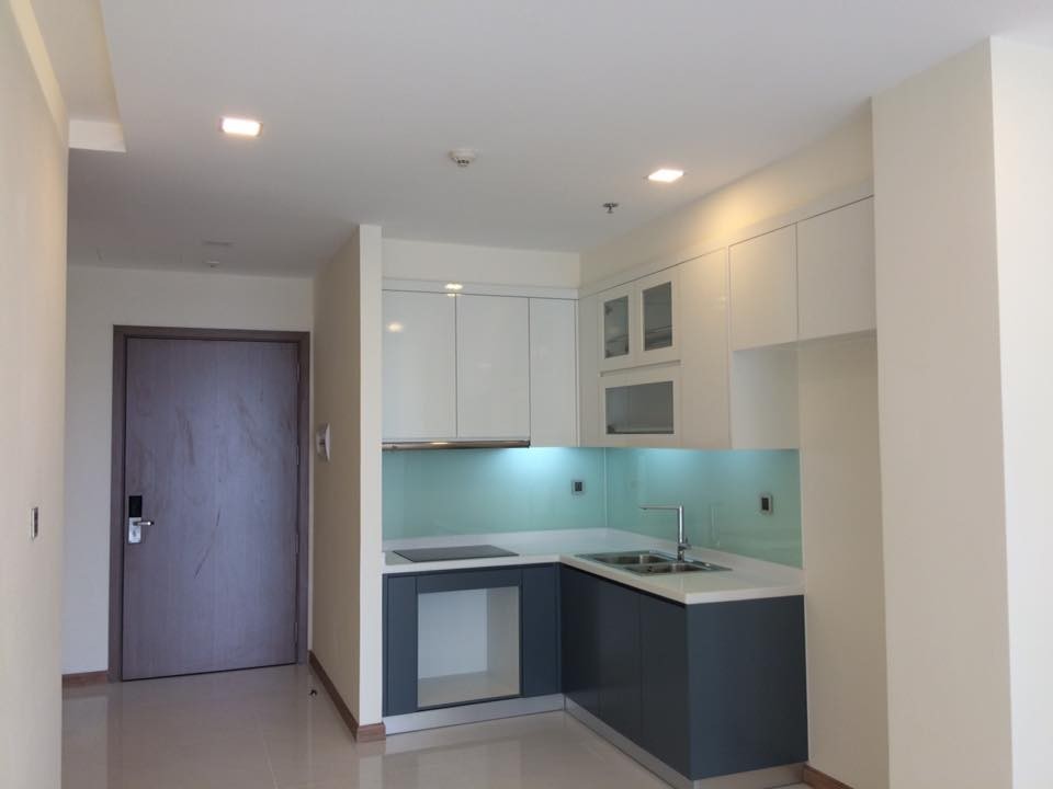 Căn hộ Vinhome Q1 01